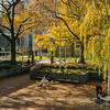 Student in founders garden