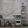 Behind the Fishtown Auto Shop – Conner White